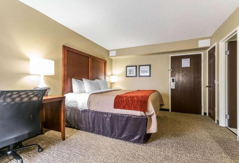 스탠다드 룸 킹사이즈 침대, Comfort Inn & Suites