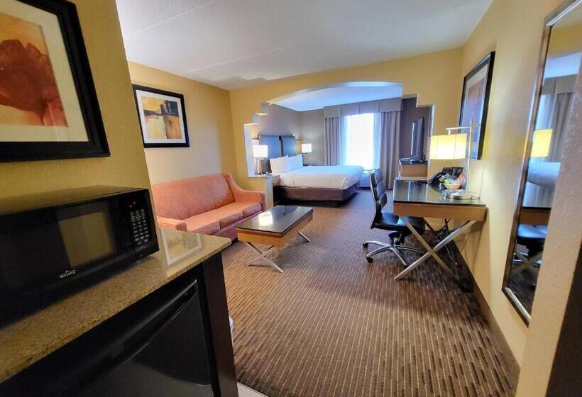 سوئیت با تخت بزرگ, Wingate By Wyndham Greensboro Coliseum