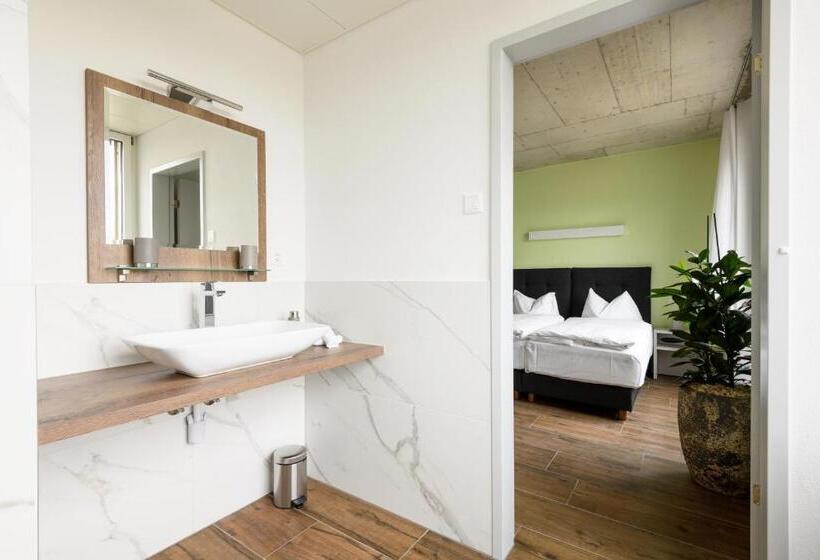 Номер Deluxe, Partner Hotel Ag Zofingen