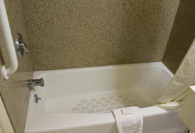 スタンダードルーム, Budget Inn   Farmington