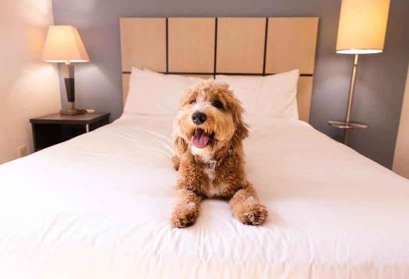 Люкс Адаптированный для Инвалидов, Sonesta Simply Suites Irvine Spectrum