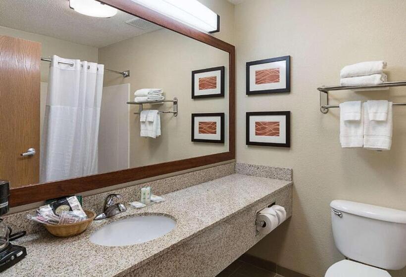 Номер Стандарт Кровать Кинг Адаптированный для Инвалидов, Comfort Inn Barboursville Near Huntington Mall Area