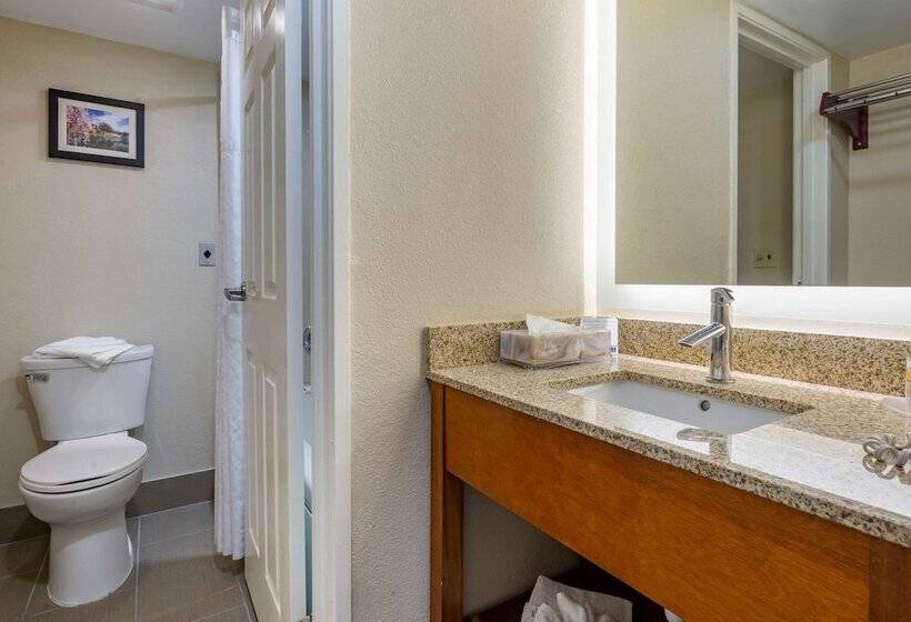 발코니가 있는 스위트, Comfort Inn Edgewater On Hudson River