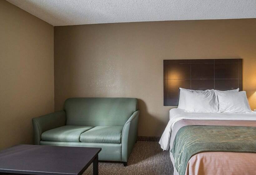 Номер Стандарт, Comfort Inn