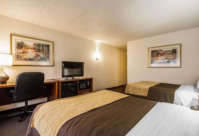 Номер Стандарт 2 Двуспальные Кровати, Comfort Inn & Suites Madison  Airport