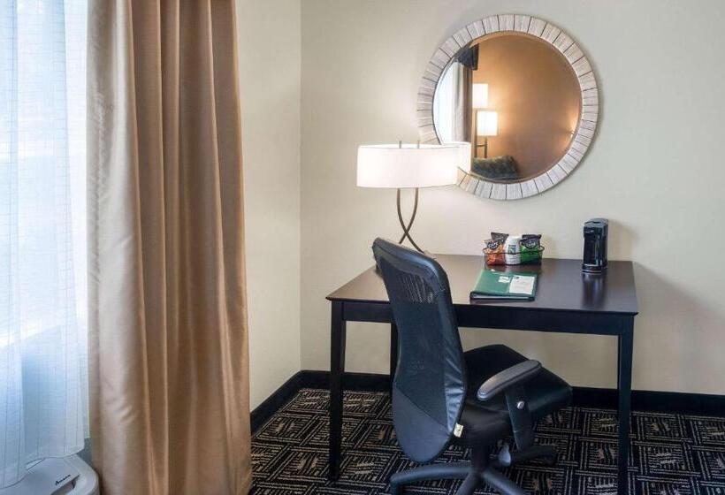 Стандартный Номер Кровать Кинг, Quality Inn & Suites