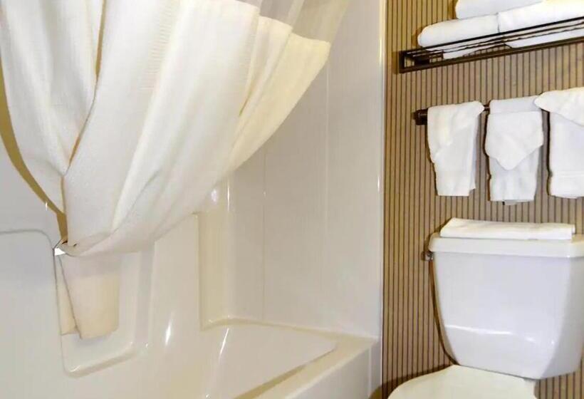 Стандартный Номер Кровать Кинг, Norwood Inn & Suites Eagan St Paul & Mall Of America
