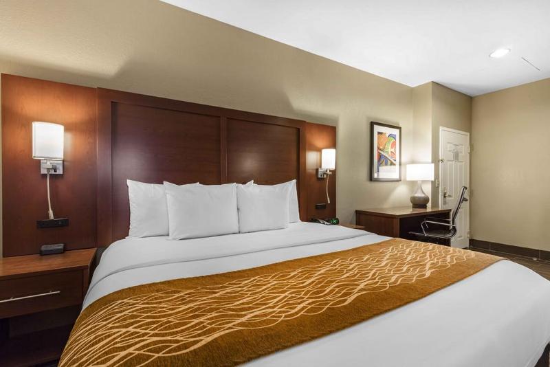 Camera Standard, Comfort Inn Memphis Downtown