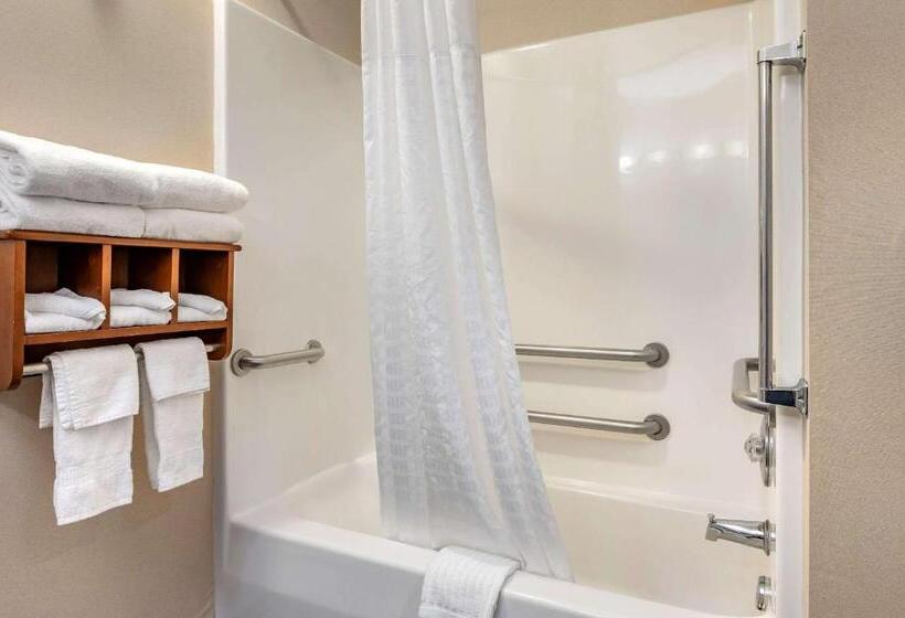 장애인을 위한 킹사이즈 침대 스탠다드 룸, Comfort Suites Columbus West Hilliard