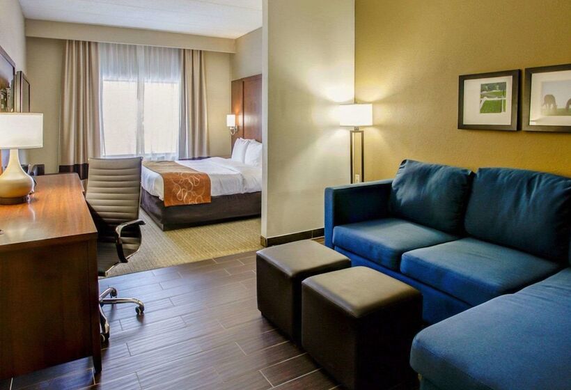 스위트, Comfort Suites Georgetown