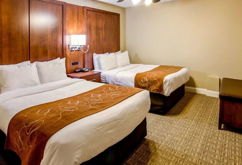 스위트, Comfort Suites Georgetown