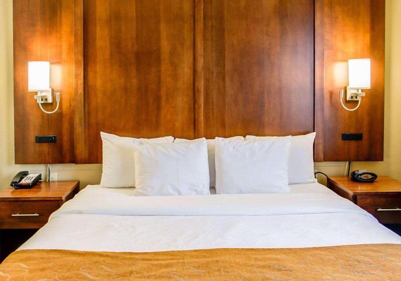 스탠다드 룸 킹사이즈 침대, Comfort Suites Georgetown