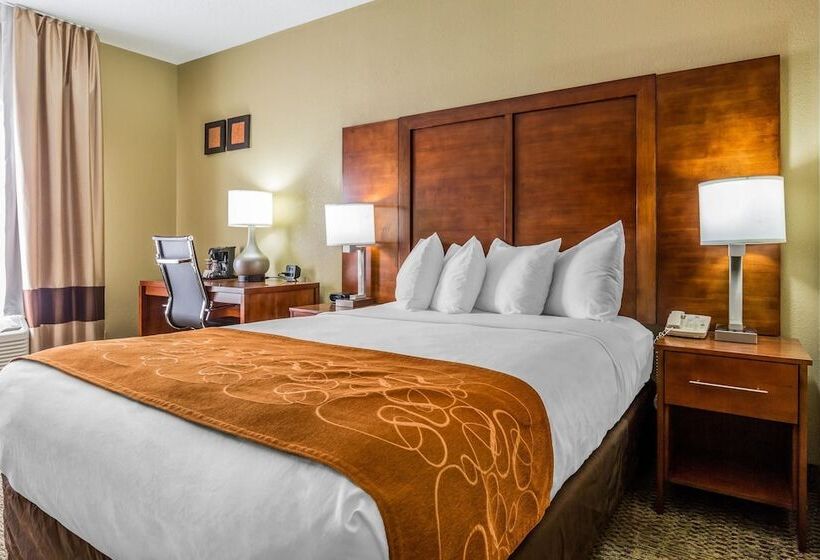 套房, Comfort Suites Near I 80 And I 94