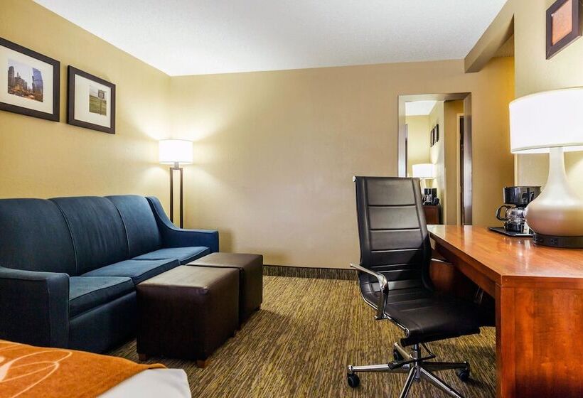 套房, Comfort Suites Near I 80 And I 94