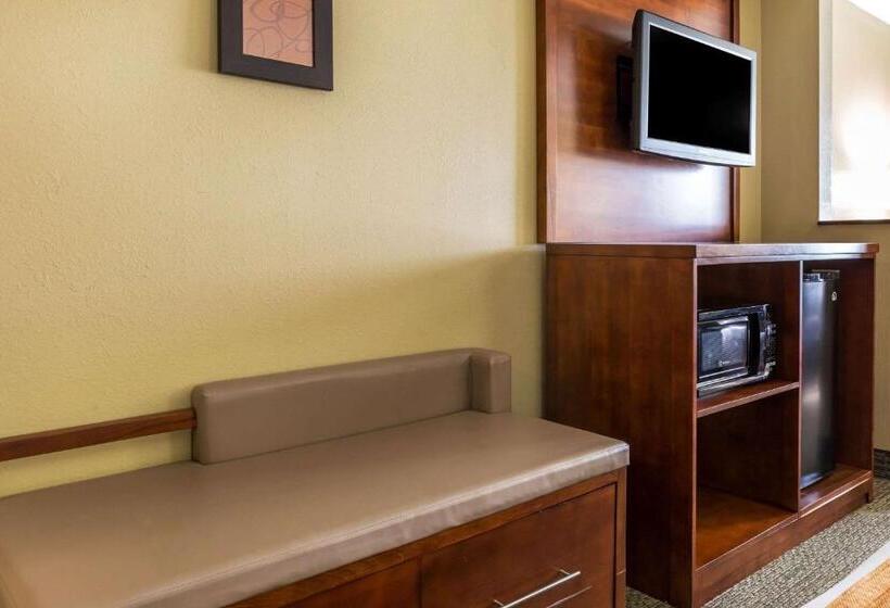 带大床的套房, Comfort Suites Near I 80 And I 94