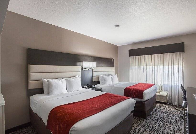 Люкс Адаптированный для Инвалидов, Comfort Suites Lewisville