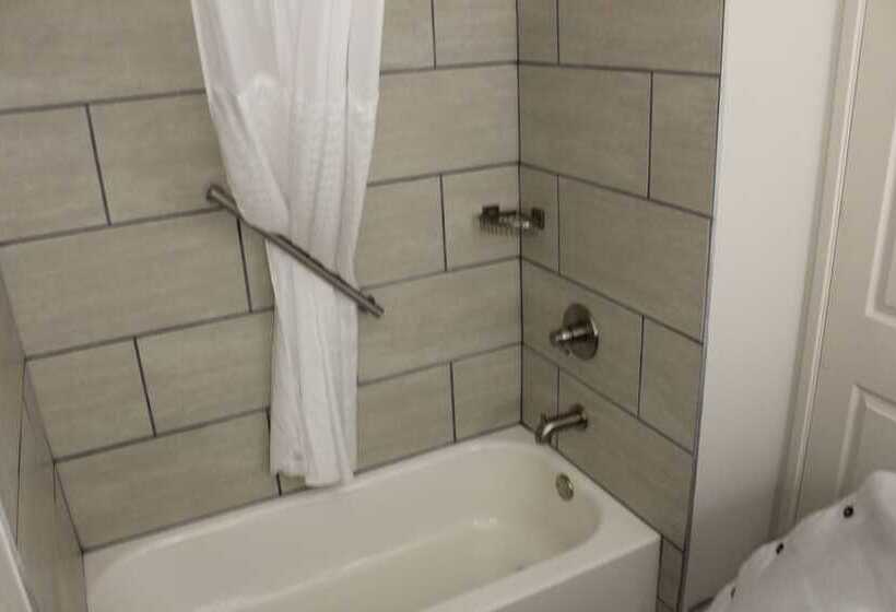Люкс Адаптированный для Инвалидов, Comfort Suites Lewisville