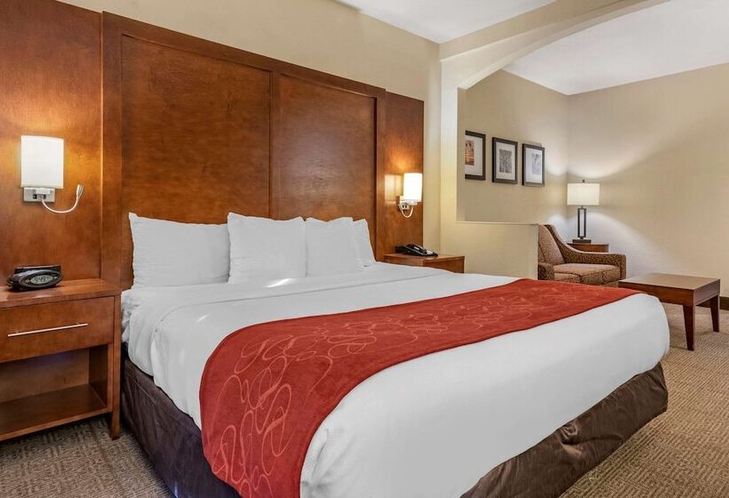 适合残疾人士使用的套间, Comfort Suites Miami  Kendall