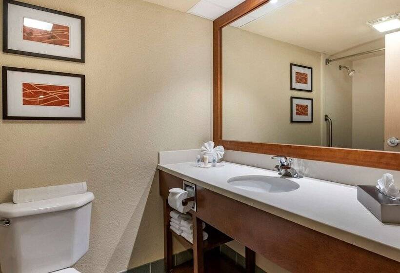 适合残疾人士使用的套间, Comfort Suites Miami  Kendall