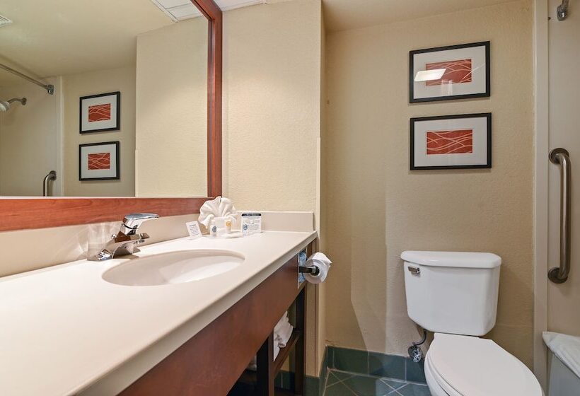 适合残疾人士使用的套间, Comfort Suites Miami  Kendall