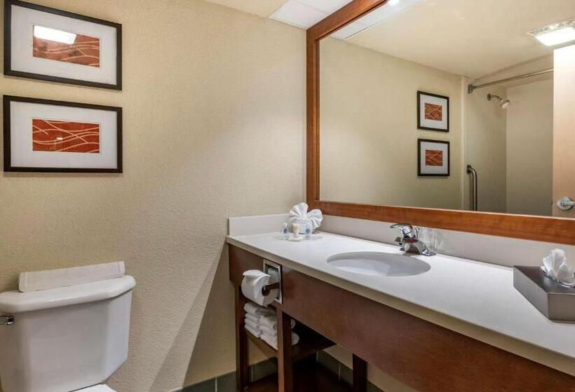 带大床的套房, Comfort Suites Miami  Kendall