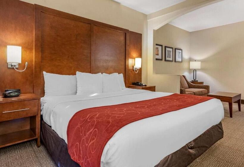 适合残疾人士使用的套间, Comfort Suites Miami  Kendall