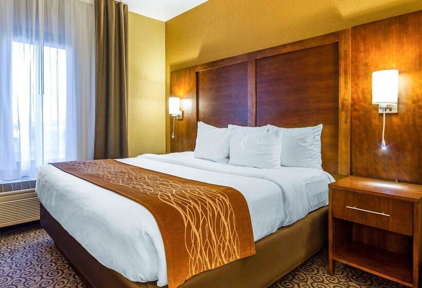 Люкс, Comfort Suites
