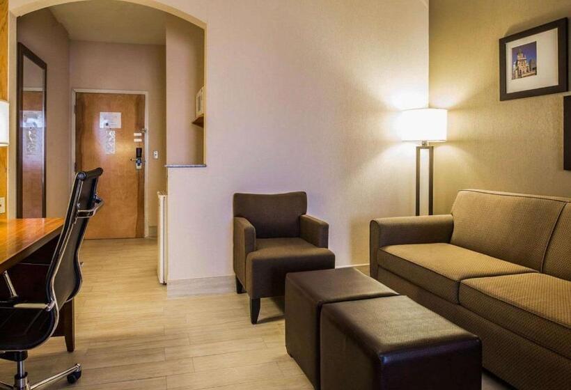 디럭스 스위트 킹 침대, Comfort Suites Stafford Near Sugarland
