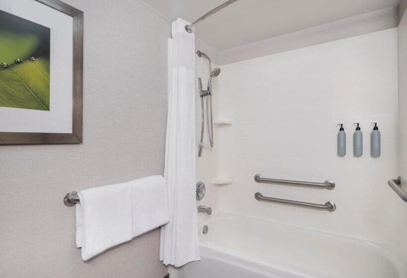 스탠다드 룸 킹사이즈 침대, Courtyard Tampa North/i75 Fletcher
