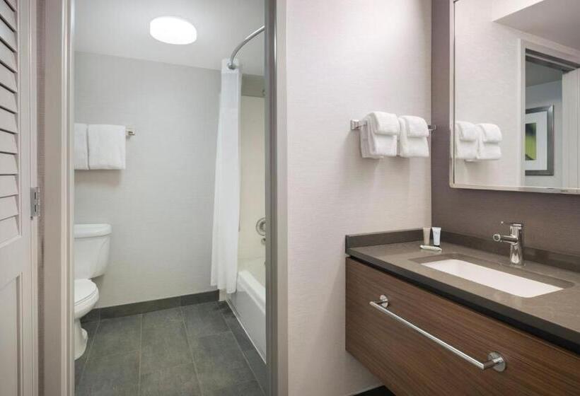 스탠다드 발코니 룸, Courtyard Tampa North/i75 Fletcher