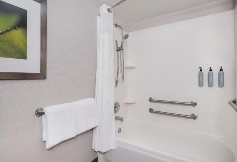 장애인을 위한 킹사이즈 침대 스탠다드 룸, Courtyard Tampa North/i75 Fletcher