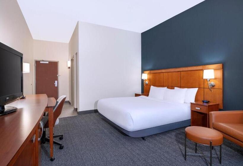 장애인을 위한 킹사이즈 침대 스탠다드 룸, Courtyard Tampa North/i75 Fletcher