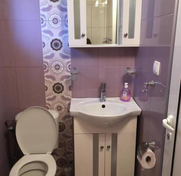 Номер Стандарт с Террасой, Guest House Lori