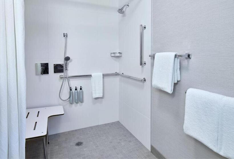 스탠다드 룸 킹사이즈 침대, Courtyard By Marriott Detroit Livonia