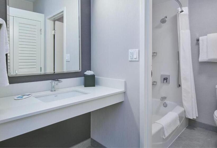 스위트 킹사이즈 침대, Courtyard By Marriott Detroit Livonia