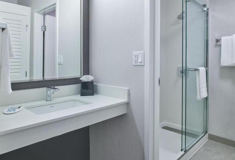 스위트, Courtyard By Marriott Detroit Livonia
