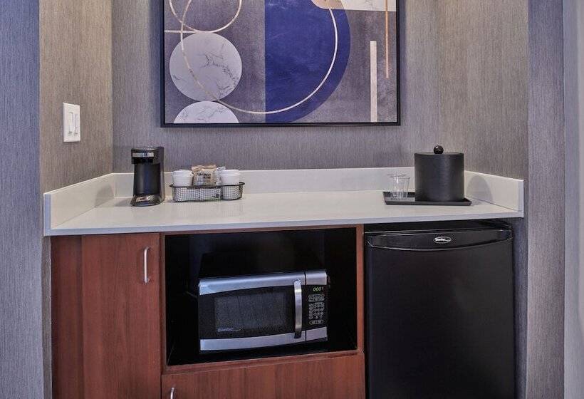 스위트, Courtyard By Marriott Detroit Livonia