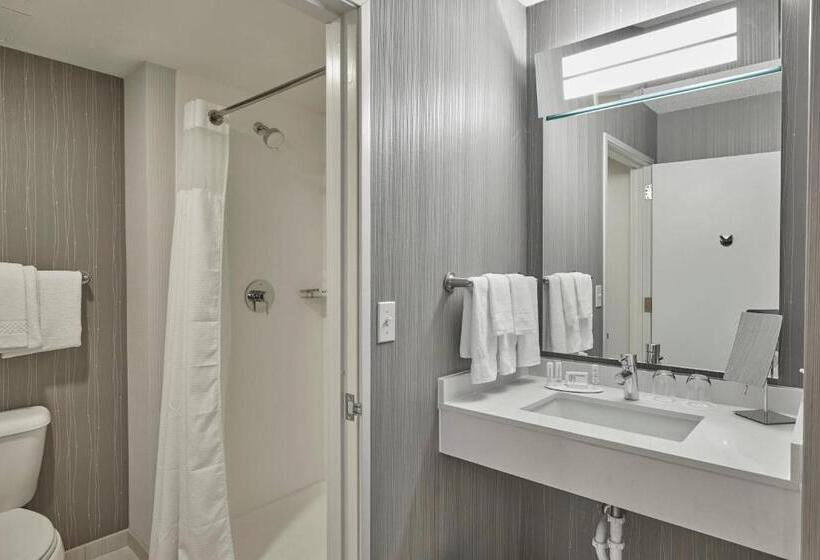 Стандартный Номер Кровать Кинг, Courtyard By Marriott Eugene Springfield