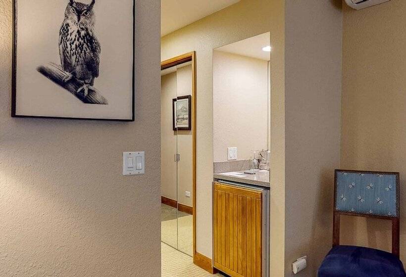 اتاق استاندارد با تخت بزرگ, The Charter At Beaver Creek F425