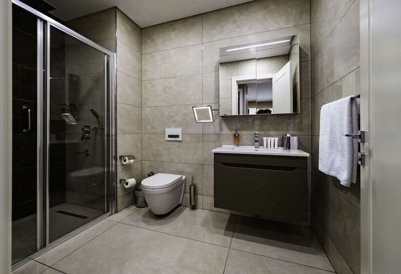 带1个卧室的公寓, Radisson Residences, Vadistanbul