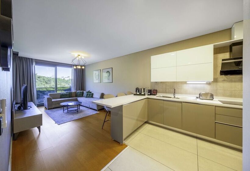 带1个卧室的公寓, Radisson Residences, Vadistanbul