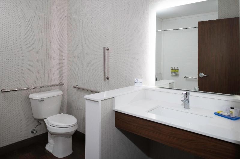 Номер Стандарт Кровать Кинг Адаптированный для Инвалидов, Holiday Inn Express & Suites   The Dalles, An Ihg