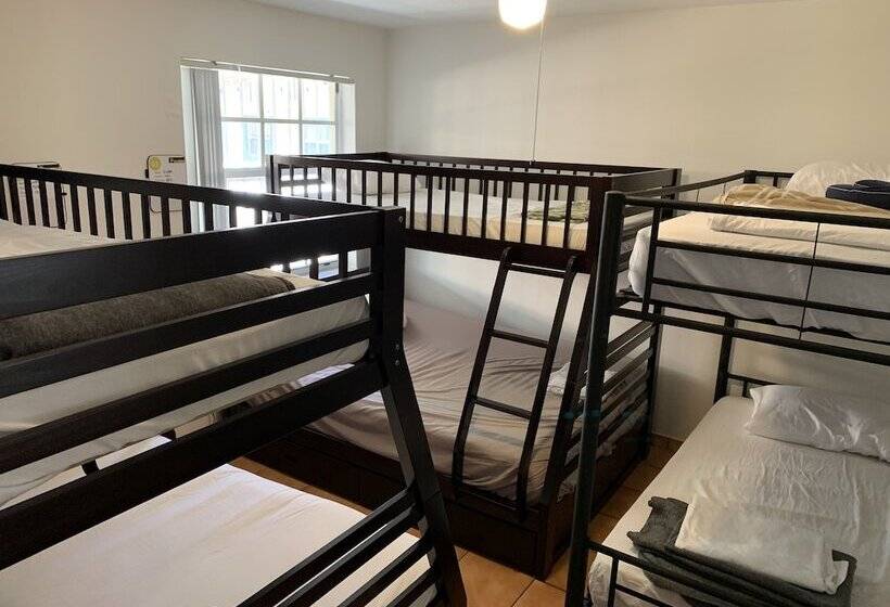 Cama em Quarto Compartilhado, Hostel Brazilian