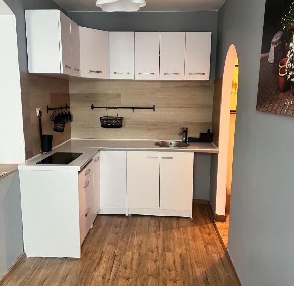Апартаменты 2 Спальни, Green Apartments Katowice Chorzów