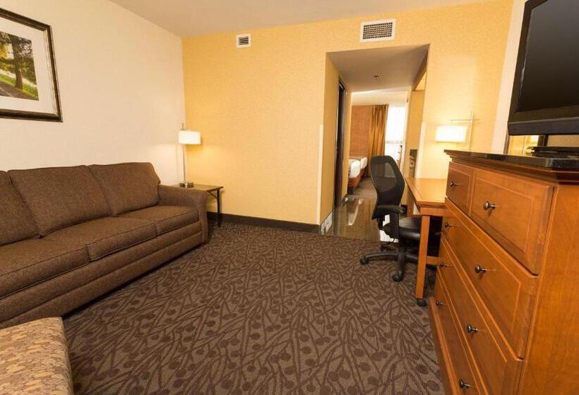 Люкс, Drury Inn & Suites Frankenmuth