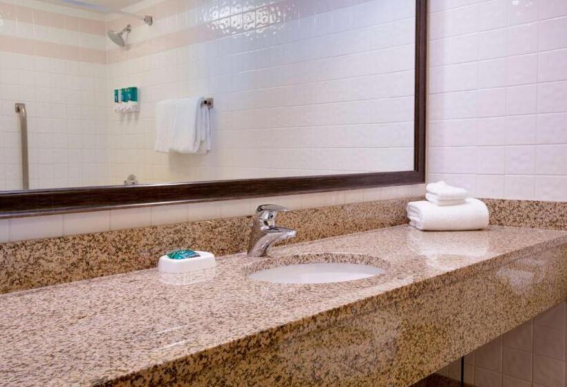 带大床的豪华间, Pear Tree Inn St Louis Convention Center