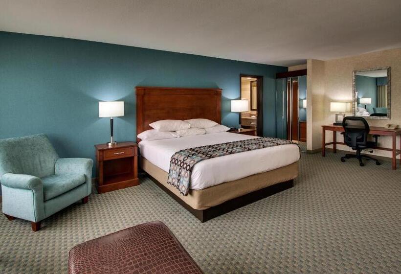 带大床的豪华间, Sonesta Essential Houston Hobby Airport