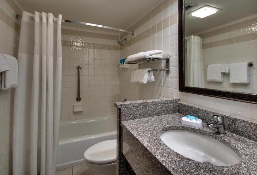 带大床的套房, Sonesta Essential Houston Hobby Airport