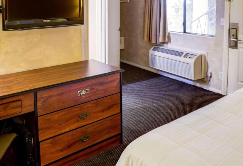 带大床的标准间, Rodeway Inn Near Venice Beach