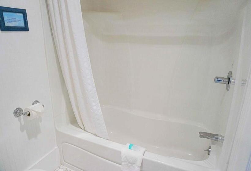 اتاق استاندارد با تخت بزرگ, The Edgewater